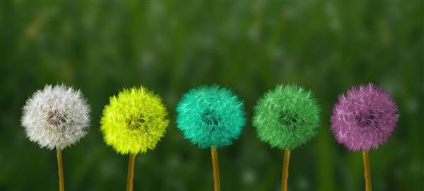استراتژی های توسعه خودآگاهی، مهارتهای تنظیم هیجانی و تاب آوری