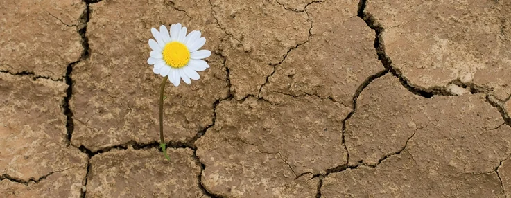 شکستِ انحصار؛ طلوع عصرِ دانایی در قلمرو تابآوری
