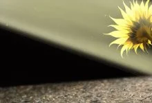 باشگاه تاب آوری Resilience Club