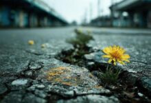 مقابله با آسیب به زیرساختهای حیاتی و حمایت از گروههای آسیبپذیر