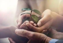 مددکاری اجتماعی اکو-سوشیال (Eco-Social Work)