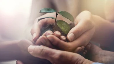 مددکاری اجتماعی اکو-سوشیال (Eco-Social Work)