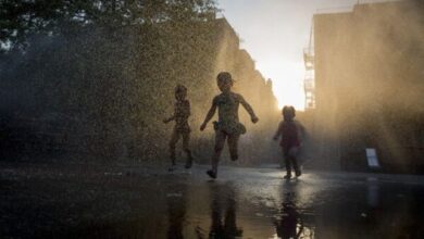 نقش و رسالت تخصصی مددکاران اجتماعی در بحرانهای جنگ و پساجنگ