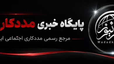 دومین نشست تخصصی «تابآوری در وضعیت بحران» برگزار شد